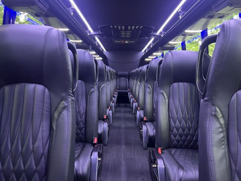 Party Bus 28-30 Passengers for Your Next Journey photo 3