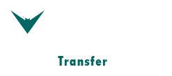 Airport Transfer Services