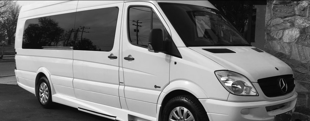 Mercedes Party Van 10-14 passengers luxury vehicle